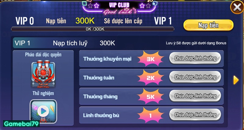 Mỗi lần lên cấp Vip sẽ nhận các ưu đãi độc quyền riêng