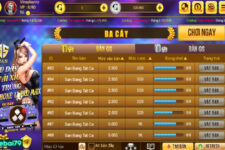 Vinplay – Game đánh bài đổi thưởng quốc tế nhiều người chơi nhất 2023