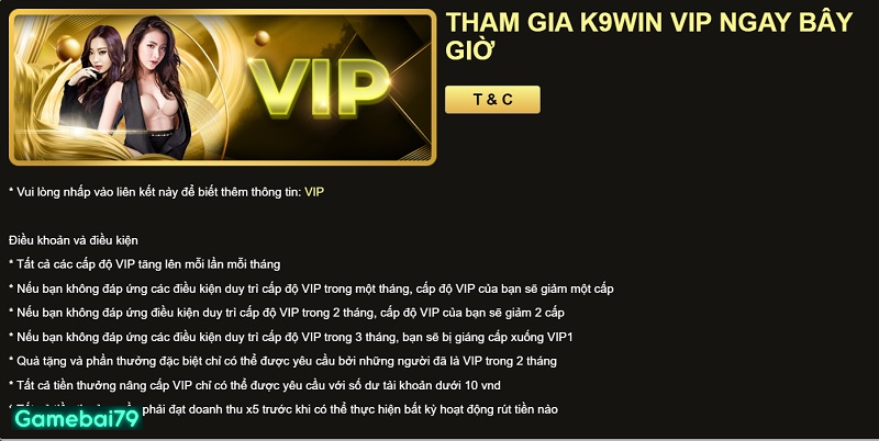 Tổng cộng 10 cấp độ Vip cho tài khoản người chơi