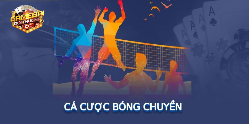 Các loại kèo cược bóng chuyền