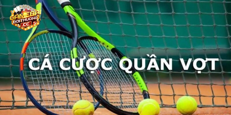 Lịch sử đối đầu có ảnh hưởng quan trọng đến kết quả thắng thua của ván cược